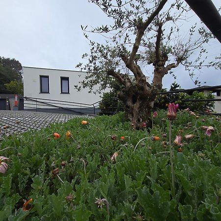 サンタナCasa Do Manuelアパートメント エクステリア 写真